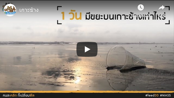 สิ่งแวดล้อม ณ เกาะช้าง ในจังหวัดตราด