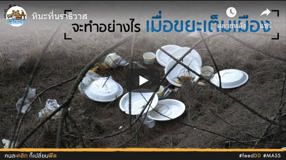 หิมะสีขาว ในจังหวัดนราธิวาส