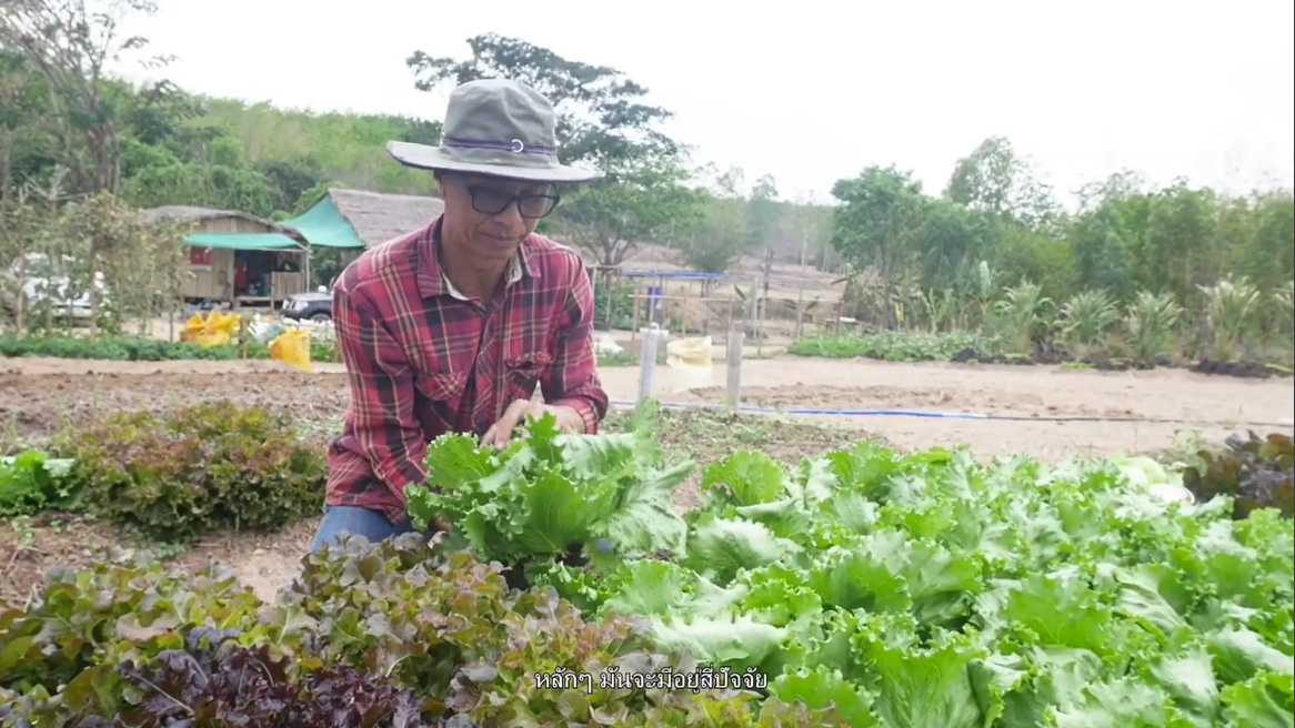 เกษตรวิถีใหม่ (ตอนที่ 2) : ผลงานนักสื่อสารสร้างสรรค์ ภาคเหนือ