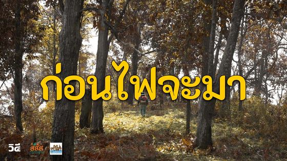 ก่อนไฟจะมา