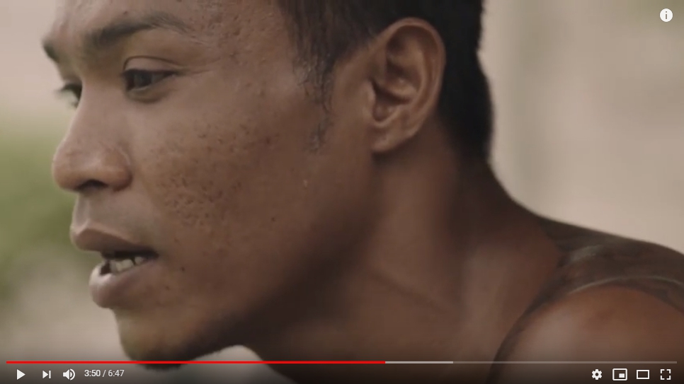 The Boxer 
