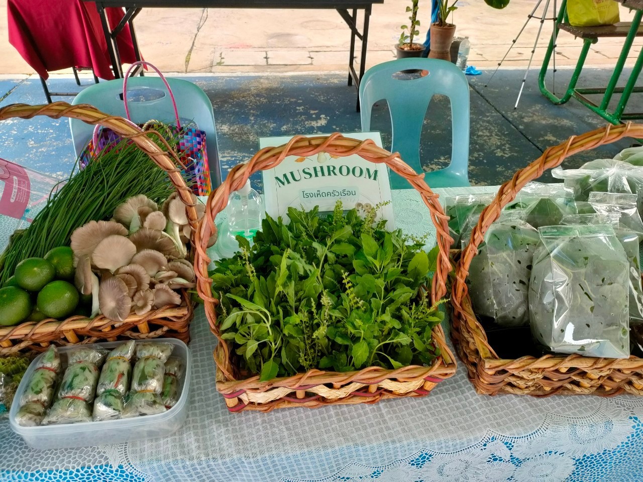 /nofat/files/gallery/1_2022-03-09_268/โรงเรียนประภาสวิทยา_(57).jpg