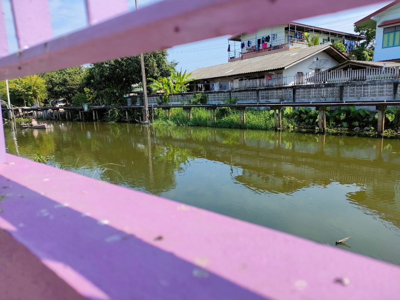 /nofat/files/gallery/1_2022-03-10_275/โรงเรียนสามแยกคลองหลอแหล_(40).jpg