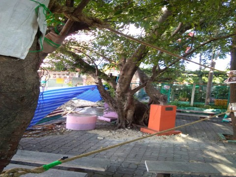 The Fifth Star  Healthy Fun Park  กิจกรรมด่านที่ 4 Rope Bridge