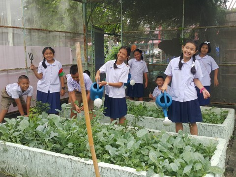 The Fifth Star  Healthy Fun Park ผลการดำเนินกิจกรรมทั้ง 5 ด่าน