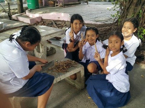 The Sixth Star Best  Healthy Innovation การทำไม้กดจุ 